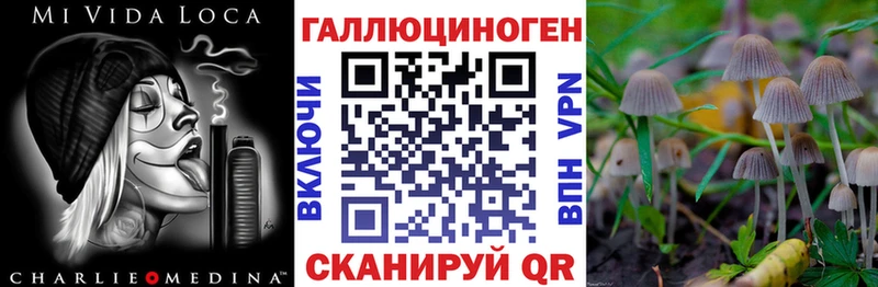 Псилоцибиновые грибы GOLDEN TEACHER  Сольвычегодск 